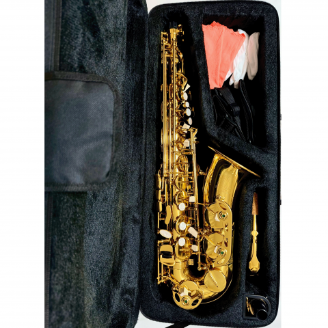 Parrot 6430L Saxofon Alto Mib, Auriu [1]