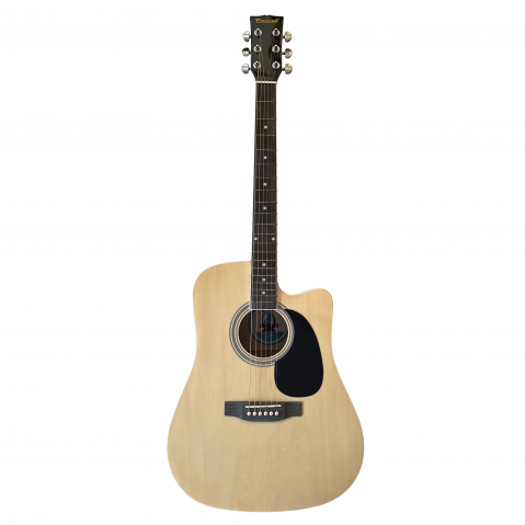 Chitare Electro-Acustice - Parrot DG100CT-N Chitara Electro Acustica