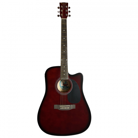 Chitare Electro-Acustice - Parrot DG200CE WRS Chitara Electro Acustica