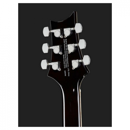 PRS SE Hollowbody II Piezo BG [6]