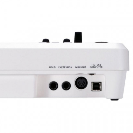 Roland A-49 White [2]