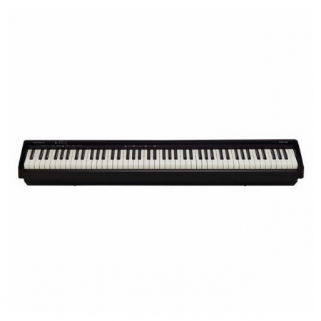 Roland FP-10 [1]