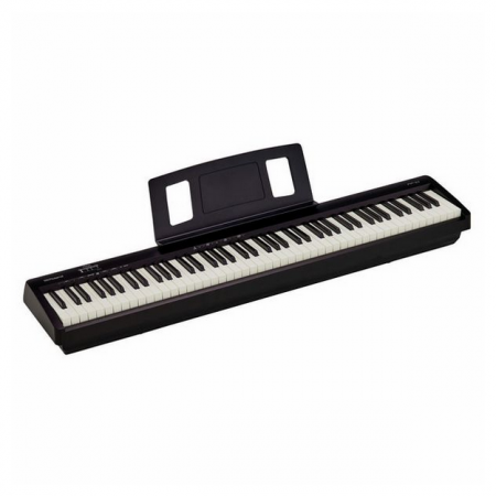 Roland FP-10 [2]