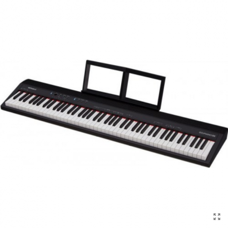 Roland GO:PIANO88 [4]