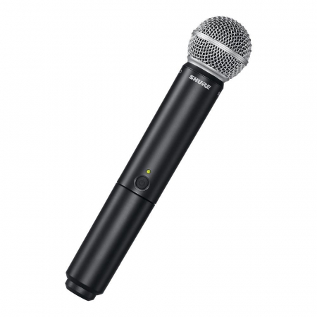 Shure BLX288/SM58 [1]