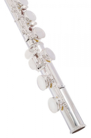 Startone SFL-55 Flute [6]