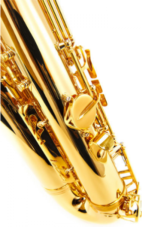 Startone STS-75 Tenor Sax [4]