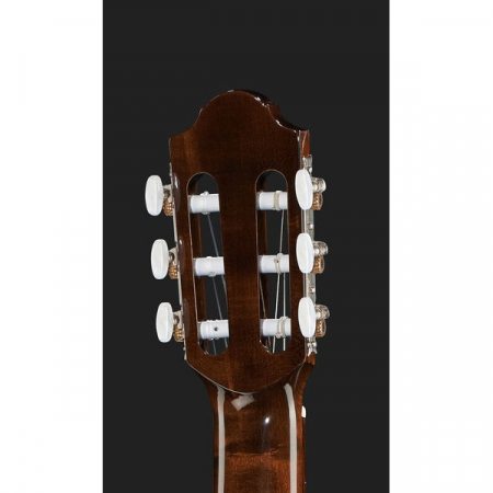 Thomann Classic 4/4 Guitar [6]
