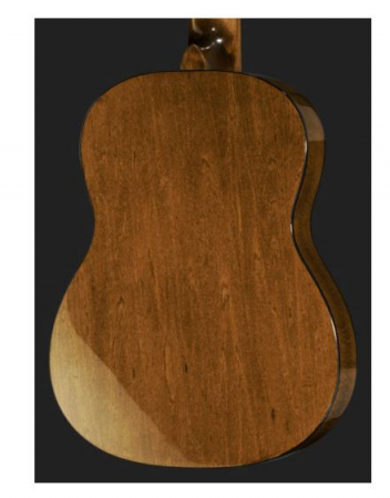 Thomann Classic Guitar 1/2 [4]