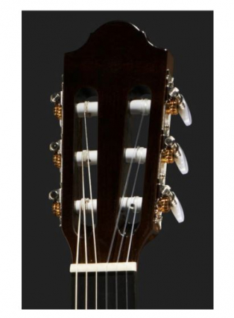 Thomann Classic Guitar 1/2 [6]