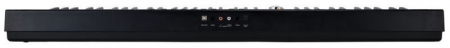 Thomann SP-120 [5]