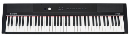 Thomann SP-120 [4]