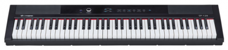 Thomann SP-120 [1]