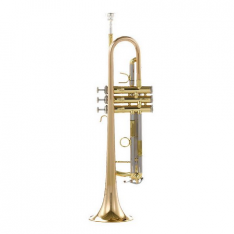 Trompete Si b - THOMANN TR 400 G BB-TRUMPET