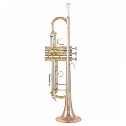 Trompete Si b - Thomann TR 500 GL Bb-Trumpet