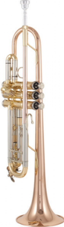 Thomann TR 500 GL Bb-Trumpet [1]