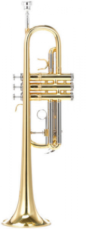Thomann TR-600 M C-Trumpet [2]