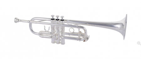 Thomann TR-600 S C Trumpet [8]