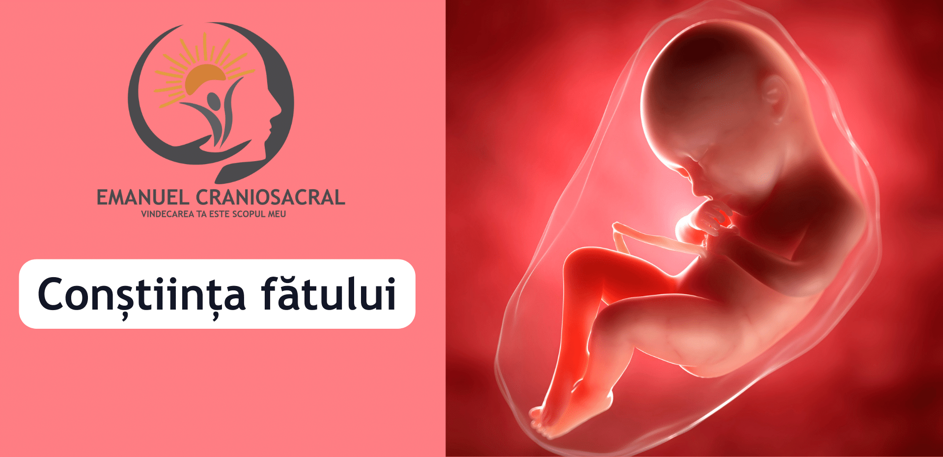 Conștiița Fătului