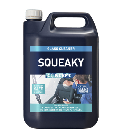 Solutie curatare materiale textile - Solutie curatare sticla Concept Squeaky, 5L