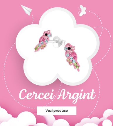 Cercei Argint