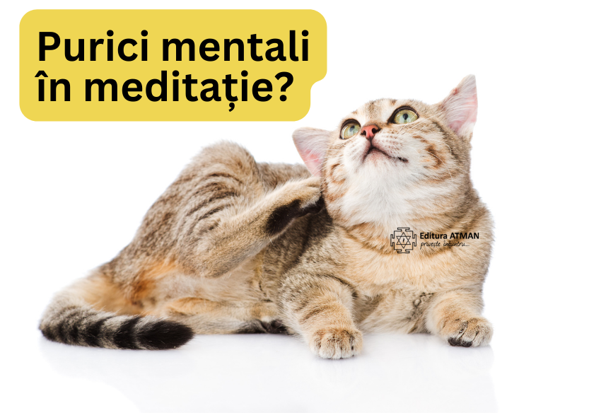 Suferi de purici mentali când meditezi? Patru sfaturi de la Pisica lui Dalai Lama