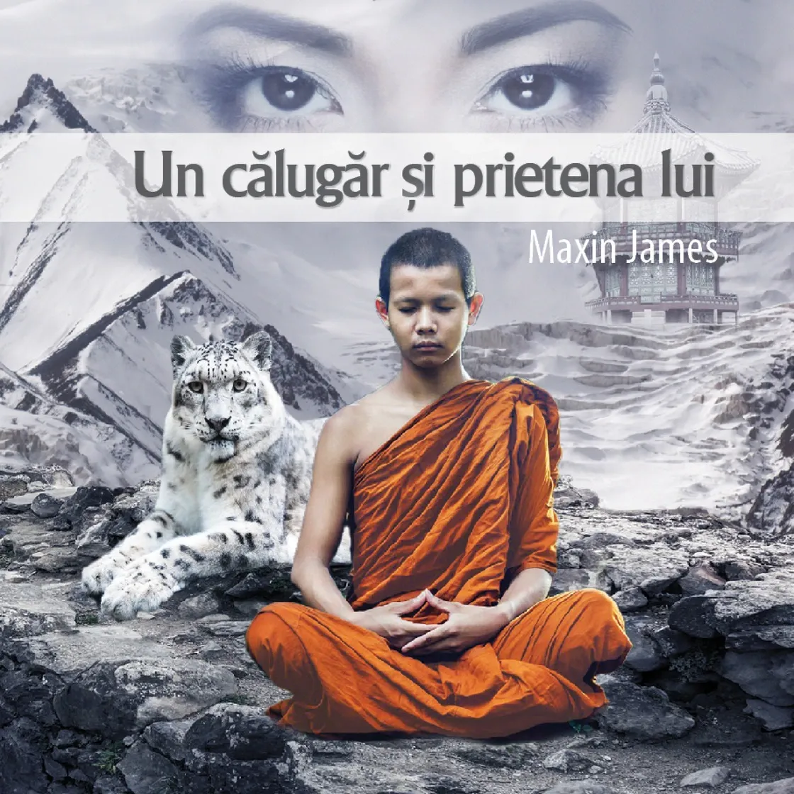 Audiobook-uri - Audiobook - Un călugăr și prietena lui