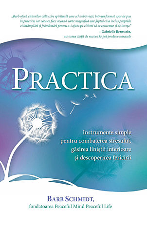 Practica: Instrumente simple pentru combaterea stresului, găsirea liniştii interioare şi descoperirea fericirii [1]