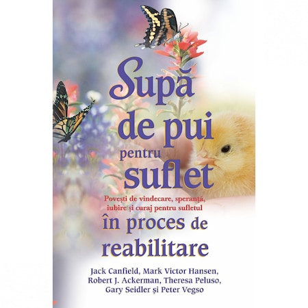 Dezvoltare personală - Supă de pui pentru suflet în proces de reabilitare