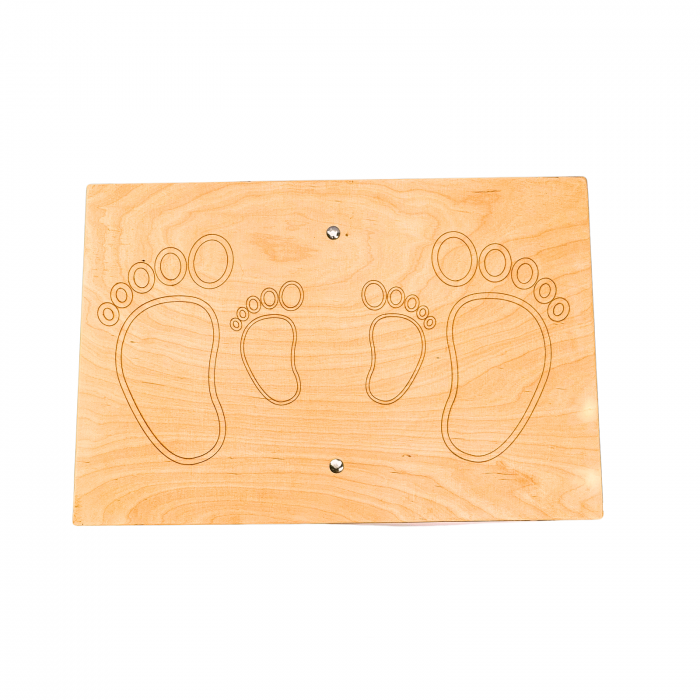 placa de echilibru [4]