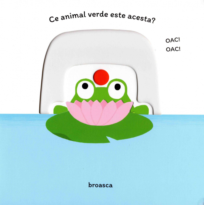 Carte Culorile [3]