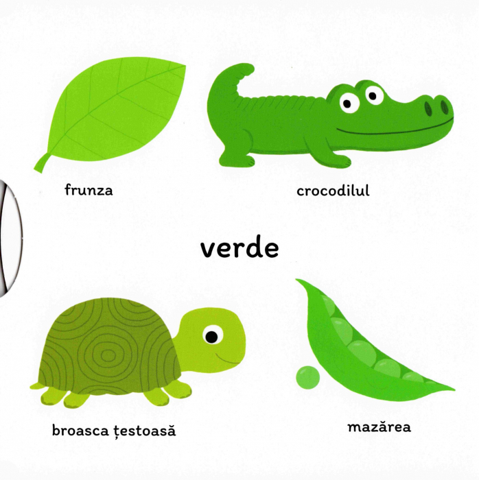 Carte Culorile [2]