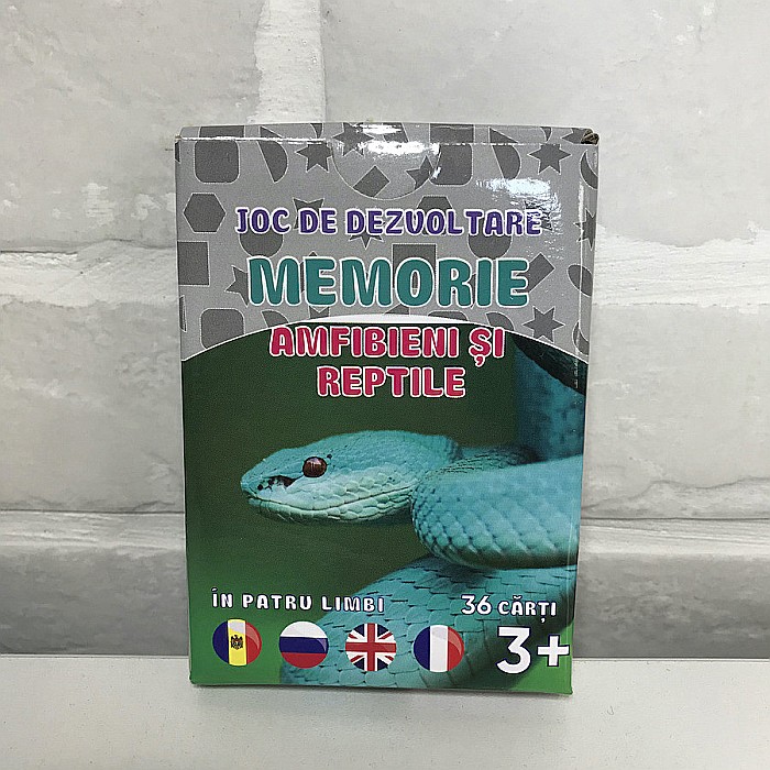 Colecția "Joc de Dezvoltare Memorie" [4]