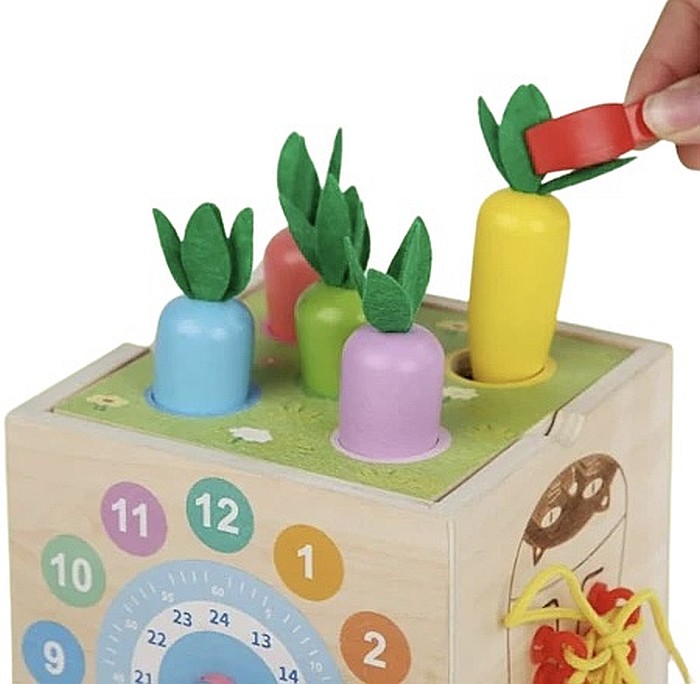Cub educativ 8 în 1 [5]