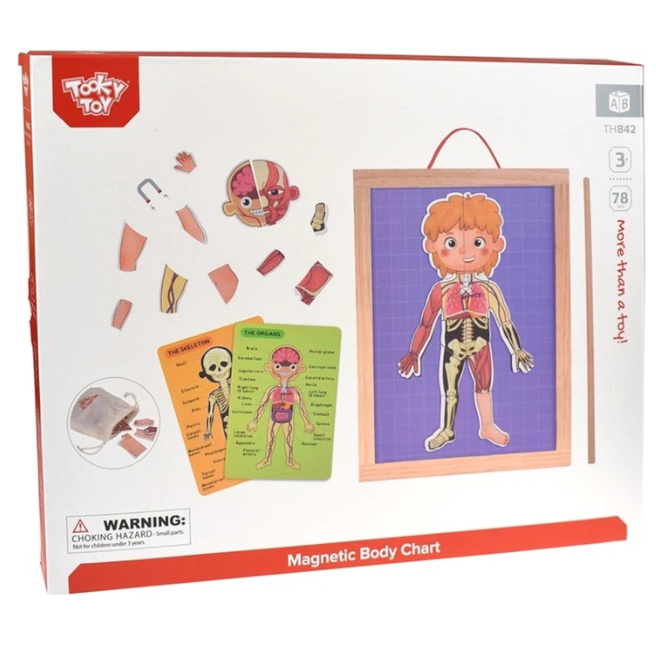 Joc puzzle Corpul [2]