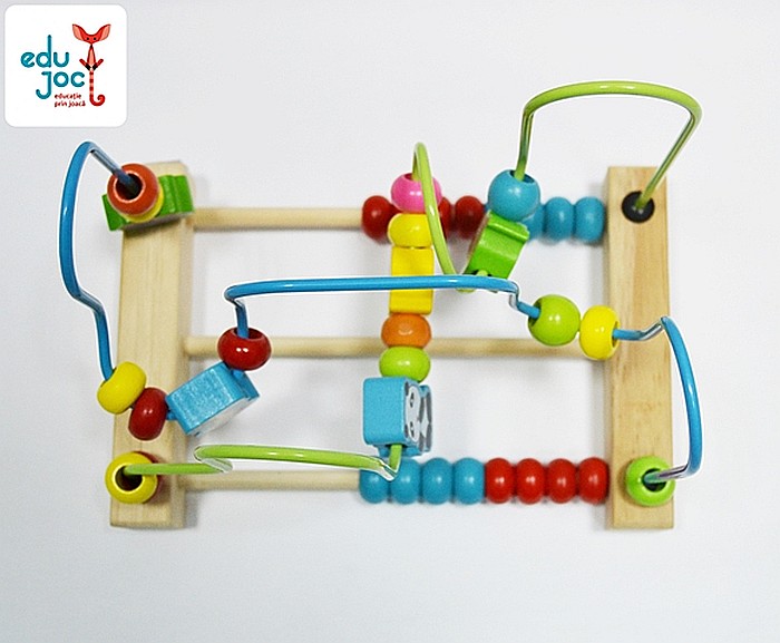 Labirint motric insecte [2]