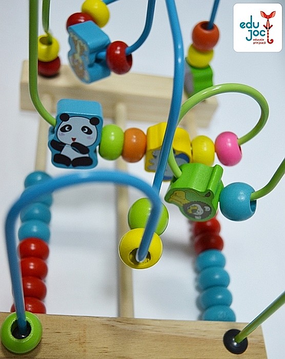 Labirint motric insecte [3]