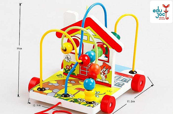 Labirint motric Casuta [3]