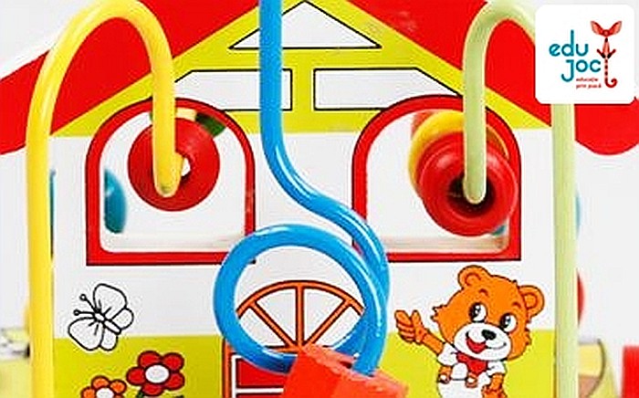 Labirint motric Casuta [2]