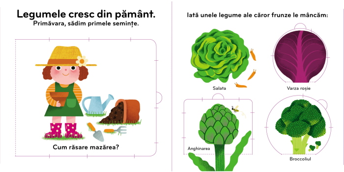 Legumele. Carte cu ilustrații [2]