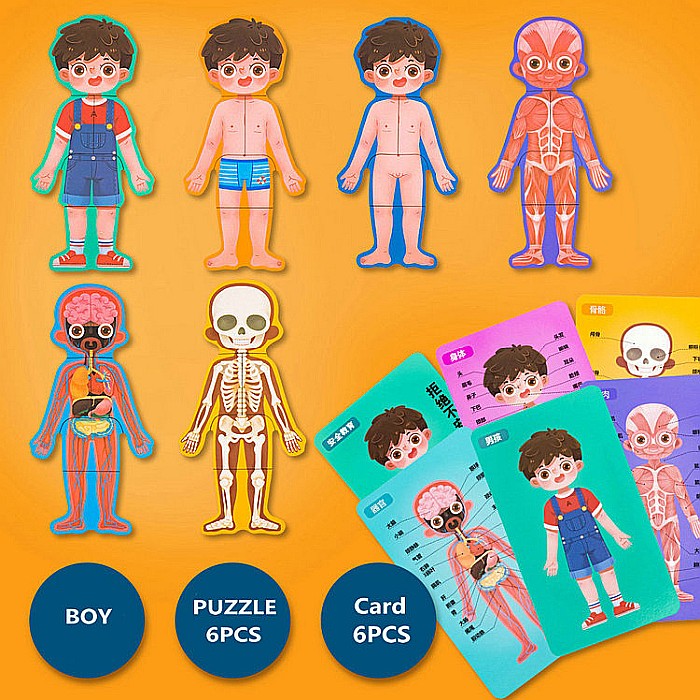 Puzzle corpul uman Băiat in limba rusa [6]
