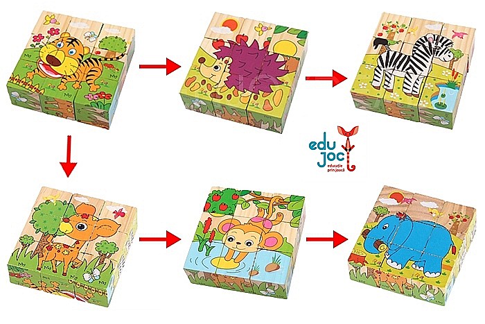Puzzle cuburi [5]