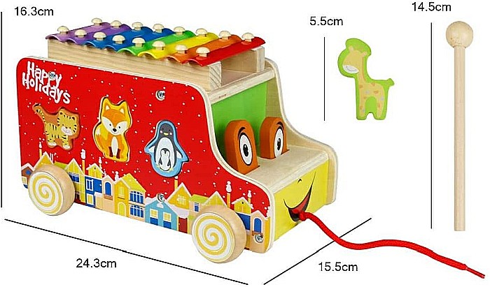Sortator Camion 3 în 1 [3]