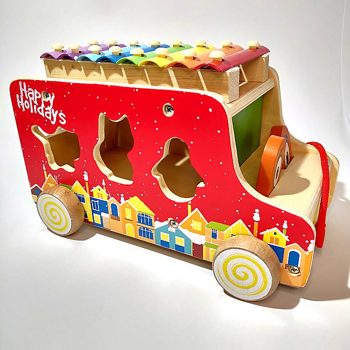 Sortator Camion 3 în 1 [9]