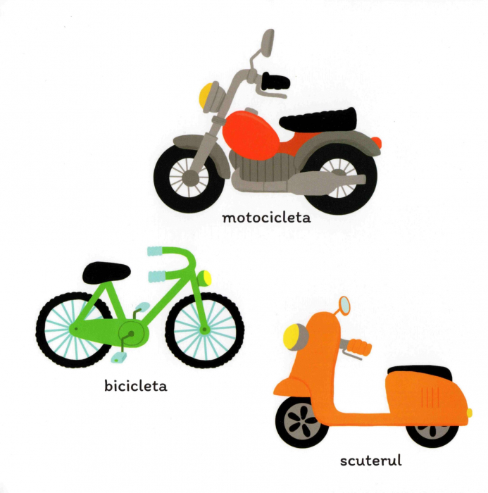 carte vehicule [2]