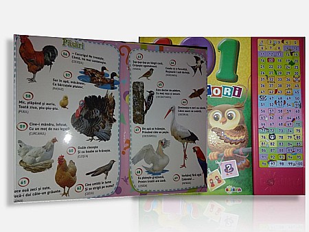 Carte cu sunete - 101 Ghicitori [6]