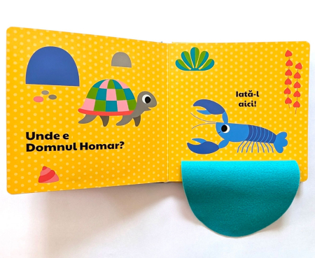 Carte - Unde e doamna Pește? [2]