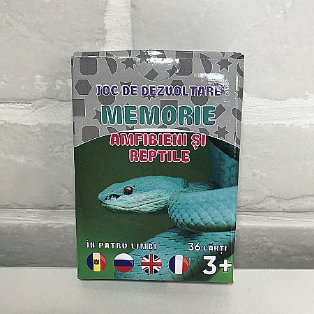 Colecția "Joc de Dezvoltare Memorie" [3]