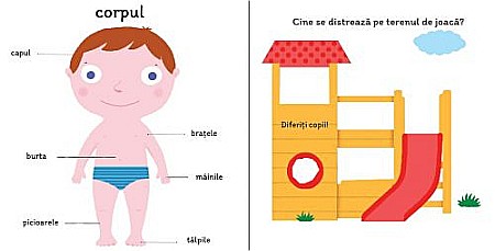 Descoperă Corpul [1]
