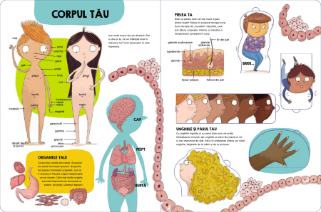 Descoperă și explorează. Corpul uman [1]